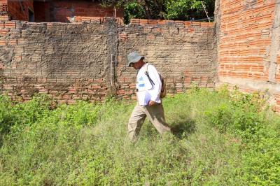 Mutirão de combate ao Aedes