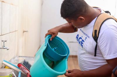 Mutirão de combate ao Aedes